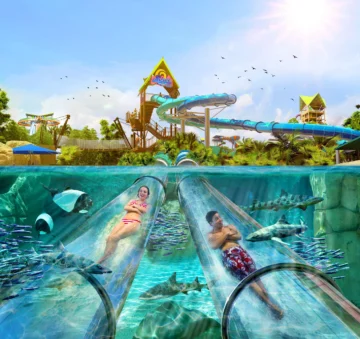 10 Nuevas experiencias de Orlando para el verano 2022 10 Nuevas experiencias de Orlando para el verano 2022