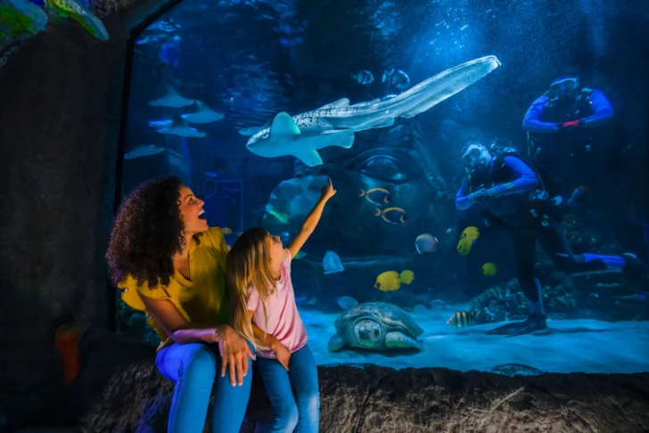 SEA LIFE Orlando se adelanta a la aventura!
