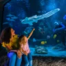 SEA LIFE Orlando se adelanta a la aventura!
