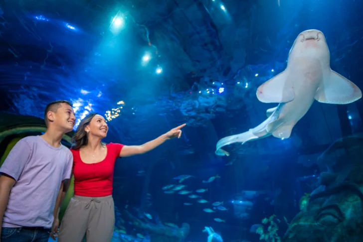  Una madre y su niño en el tunel SEA LIFE Orlando