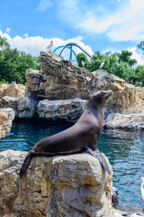 SeaWorld Orlando anuncia su programación de eventos para 2026